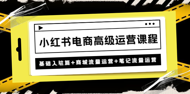 小红书电商高级运营课程（基础入驻篇+商城流量运营+笔记流量运营）