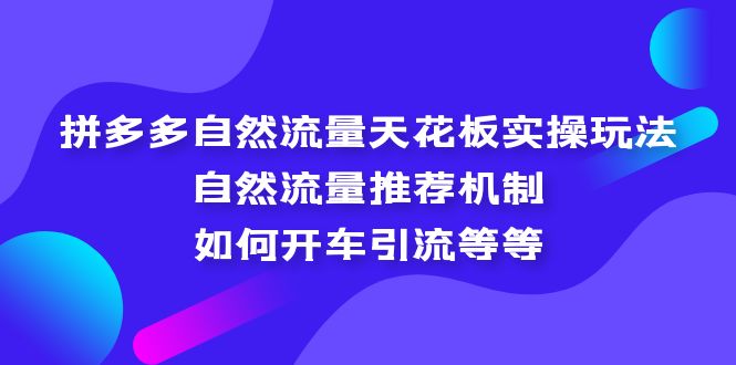 拼多多自然流量天花板实操玩法：自然流量推荐机制，如何开车引流等等