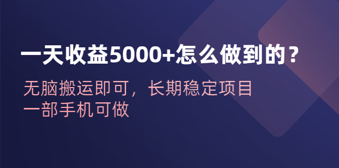 图片[1]-一天收益5000+怎么做到的？无脑搬运即可，长期稳定项目，一部手机可做