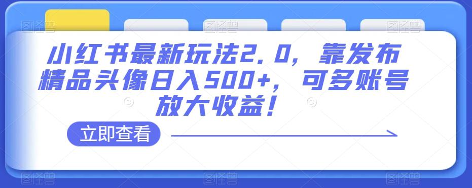 小红书最新玩法2.0：发布精品头像日入500+，多账号放大收益！ 阿灿的头像-阿灿说钱 阿灿（收徒）