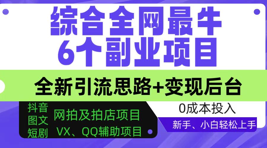 综合全网 6 个副业项目，全新引流思路+变现后台，有手就能做，新手、小白也能轻松上手