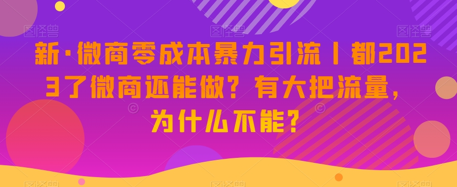 新版微商0成本暴力引流丨都2023了微商还能做？有大把流量，为什么不能？-淘淘副业