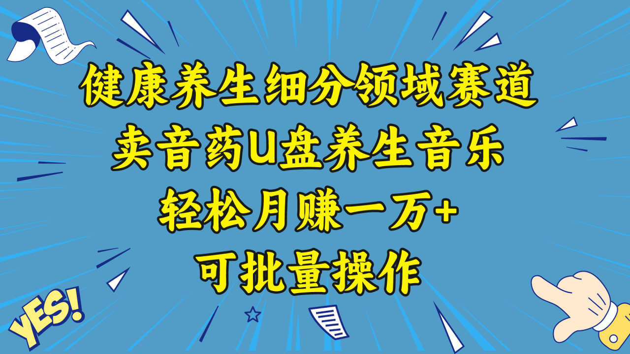 五行音乐养生：细分领域赛道卖音药U盘，打造轻松月赚一万+的健康养生项目