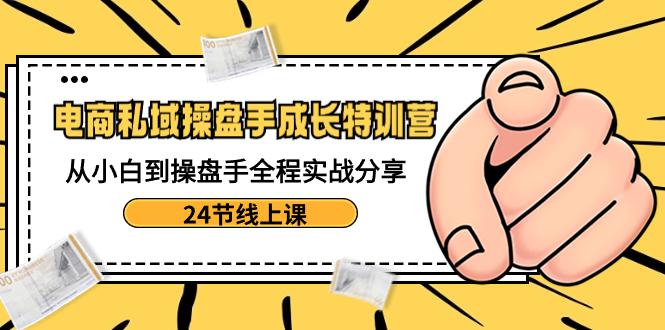 电商私域操盘手成长特训：从小白到操盘手全程实战分享【24节线上课】