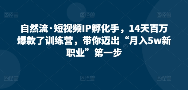 自然流·短视频IP孵化训练营，14天打造百万爆款，带你迈出“月入5W新职业”第一步